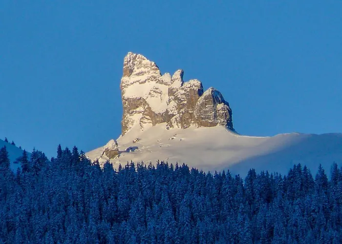 Apartament Rose Apt- Y By Interhome Wengen